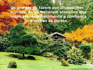 Os amigos se fazem por disposições
mútuas, ao se trocarem atenções que
inspiram reconhecimento e confiança
a ambas as partes

 