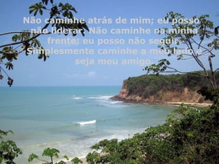 Não caminhe atrás de mim; eu posso
não liderar. Não caminhe na minha
frente; eu posso não seguir.
Simplesmente caminhe a meu lado e
seja meu amigo.

 