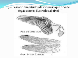 9 – Baseado em estudos da evolução que tipo de
        órgãos são os ilustrados abaixo?
 