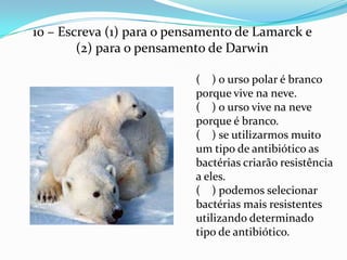 10 – Escreva (1) para o pensamento de Lamarck e
        (2) para o pensamento de Darwin

                           ( ) o urso polar é branco
                           porque vive na neve.
                           ( ) o urso vive na neve
                           porque é branco.
                           ( ) se utilizarmos muito
                           um tipo de antibiótico as
                           bactérias criarão resistência
                           a eles.
                           ( ) podemos selecionar
                           bactérias mais resistentes
                           utilizando determinado
                           tipo de antibiótico.
 