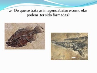 2- Do que se trata as imagens abaixo e como elas
          podem ter sido formadas?
 