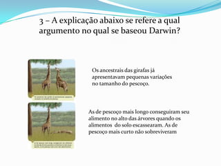 3 – A explicação abaixo se refere a qual
argumento no qual se baseou Darwin?



               Os ancestrais das girafas já
               apresentavam pequenas variações
               no tamanho do pescoço.




              As de pescoço mais longo conseguiram seu
              alimento no alto das árvores quando os
              alimentos do solo escassearam. As de
              pescoço mais curto não sobreviveram
 