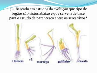 4 - Baseado em estudos da evolução que tipo de
 órgãos são vistos abaixo e que servem de base
para o estudo de parentesco entre os seres vivos?
 
