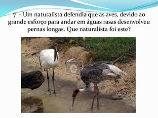7 - Um naturalista defendia que as aves, devido ao
grande esforço para andar em águas rasas desenvolveu
       pernas longas. Que naturalista foi este?
 