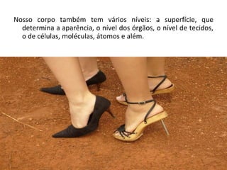 Nosso corpo também tem vários níveis: a superfície, que determina a aparência, o nível dos órgãos, o nível de tecidos, o de células, moléculas, átomos e além. 