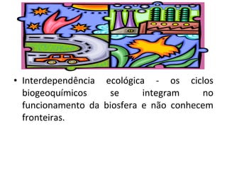 Interdependência ecológica - os ciclos biogeoquímicos se integram no funcionamento da biosfera e não conhecem fronteiras. 