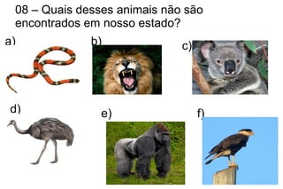 08 – Quais desses animais não são
encontrados em nosso estado?
a) b) c)
d) e) f)
 