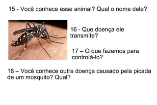 15 - Você conhece esse animal? Qual o nome dele?
16 - Que doença ele
transmite?
17 – O que fazemos para
controlá-lo?
18 – Você conhece outra doença causado pela picada
de um mosquito? Qual?
 