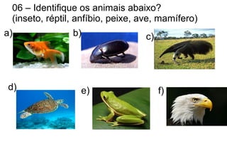 06 – Identifique os animais abaixo?
(inseto, réptil, anfíbio, peixe, ave, mamífero)
a) b) c)
d) e) f)
 