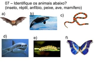 07 – Identifique os animais abaixo?
(inseto, réptil, anfíbio, peixe, ave, mamífero)
a) b) c)
d) e) f)
 