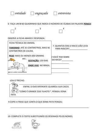entidade engraçada entrevista
6- FAÇA UM X NO QUADRINHO QUE INDICA O NÚMERO DE SÍLABAS DA PALAVRA PENICO:
2 3 4
OBSERVE A FICHA ABAIXO E RESPONDA:
7- QUANTOS DIAS O MICO LEÃO LEVA
PARA NASCER?________________
8-QUE INFORMAÇÃO VOCÊ TEM SOBRE
GESTA O TAMANHO DO MICO?__________
______________________________
______________________________
______________________________________
LEIA O TRECHO:
9-COPIE A FRASE QUE CONTA O QUE DONA PATA PENSOU.
_____________________________________________________________________
10- COMPLETE O TEXTO SUBSTITUINDO OS DESENHOS PELOS NOMES;
FICHA TÉCNICA DO ANIMAL
TAMANHO: ATÉ 35 CENTÍMETROS, MAIS 40
CENTÍMETROS DE CAUDA.
PESO: MAIS OU MENOS 600 GRAMAS
GESTAÇÃO: 120 DIAS
ONDE VIVE: NO BRASIL
ENFIM, O OVO DIFERENTE QUEBROU SUA CASCA.
“COMO É GRANDE ESSE FILHOTE!”, PENSOU DONA
PATA
 