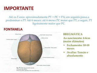 Até os 2 anos: aproximadamente PT = PC = PA; em seguida passa a
predominar o PT Até 6 meses: até 6 meses PC maior que PT; a seguir, PT
ligeiramente maior que PC.
FONTANELA
BREGMÁTICA
Ao nascimento: 4-6cm
(maior diâmetro)
• Fechamento: 10-18
meses
• Avaliar: Tensão e
abaulamento
IMPORTANTE
 