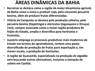 ÁREAS DINÂMICAS DA BAHIA
• Barreiras se destaca como a região de maior dinamismo agrícola
da Bahia como a única a produzir soja, pela crescente pecuária
bovina, além de produzir frutas diferenciadas.
• Vitória da Conquista se destaca pela produção cafeeira, pela
pecuária bovina (Itapetinga) e olerícolas (Jaguaquara e Itiruçu).
Irecê, sempre associada como a maior região produtora de
feijão do Estado, amplia e diversifica para hortícolas e
frutícolas.
• Juazeiro emprega os processos produtivos mais modernos do
Estado em termos da agroindústria, contem uma pauta
diversificada de produção de frutas para exportação e, em
menor escala, a produção de hortícolas.
• A região de Guanambi, especializada na produção de algodão
vem buscando outras alternativas, inclusive a extração de
urânio em Caetité.
 
