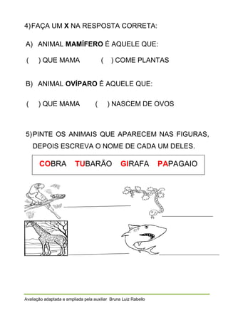 4) FAÇA UM X NA RESPOSTA CORRETA:
A) ANIMAL MAMÍFERO É AQUELE QUE:
(

) QUE MAMA

(

) COME PLANTAS

B) ANIMAL OVÍPARO É AQUELE QUE:
(

) QUE MAMA

(

) NASCEM DE OVOS

5) PINTE OS ANIMAIS QUE APARECEM NAS FIGURAS,
DEPOIS ESCREVA O NOME DE CADA UM DELES.

COBRA

TUBARÃO

GIRAFA

Avaliação adaptada e ampliada pela auxiliar Bruna Luiz Rabello

PAPAGAIO

 