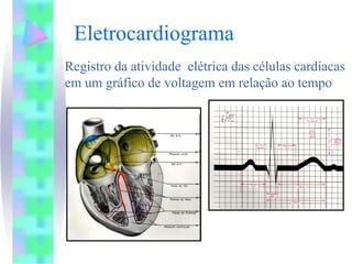Eletrocardiograma
Registro da atividade elétrica das células cardíacas
em um gráfico de voltagem em relação ao tempo
 