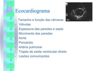 Ecocardiograma
-   Tamanho e função das câmaras
-   Válvulas
-   Espessura das paredes e septo
-   Movimento das paredes
-   Aorta
-   Pericárdio
-   Artéria pulmonar
-   Trajeto de saída ventricular direito
-   Lesões comunicantes
 
