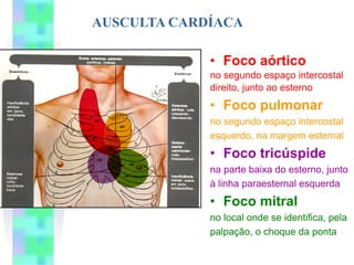 AUSCULTA CARDÍACA

             • Foco aórtico
             no segundo espaço intercostal
             direito, junto ao esterno
             • Foco pulmonar
             no segundo espaço intercostal
             esquerdo, na margem esternal
             • Foco tricúspide
             na parte baixa do esterno, junto
             à linha paraesternal esquerda
             • Foco mitral
             no local onde se identifica, pela
             palpação, o choque da ponta
 
