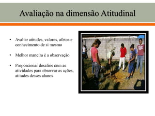Avaliação na dimensão Atitudinal
• Avaliar atitudes, valores, afetos e
conhecimento de si mesmo
• Melhor maneira é a observação
• Proporcionar desafios com as
atividades para observar as ações,
atitudes desses alunos
 