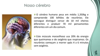 Nosso cérebro
O cérebro humano pesa em média 1,350kg e
compreende 100 bilhões de neurônios. Ele
consegue distinguir cercar de 10 mil cheiros
diferentes e produzir 70 mil pensamentos
diferentes em um dia comum.
Este músculo maravilhoso usa 20% da energia
que queimamos e do oxigênio que respiramos. Os
neurônios começam a morrer após 4 a 6 minutos
sem oxigênio.
 