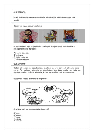 QUESTÃO 09
O ser humano necessita de alimentos para crescer e se desenvolver com
saúde.
Observe a figura esquema abaixo.
Observando as figuras, podemos dizer que, nos primeiros dias de vida, o
principal alimento deve ser:
(A) carne e cereal.
(B) mingau.
(C) leite materno.
(D) fruta e legume.
QUESTÃO 10
Cadeia alimentar é a sequência na qual um ser vivo serve de alimento para o
outro. As cadeias alimentares acontecem em toda parte da natureza
representando o ciclo de alimentação dos seres vivos nos ecossistemas.
Observe a cadeia alimentar e responda:
Qual é o produtor nessa cadeia alimentar?
(A) ave.
(B) cobra.
(C) rato.
(D) milho.
 