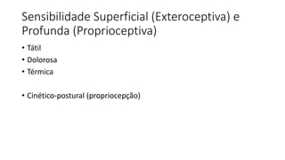 Sensibilidade Superficial (Exteroceptiva) e
Profunda (Proprioceptiva)
• Tátil
• Dolorosa
• Térmica
• Cinético-postural (propriocepção)
 