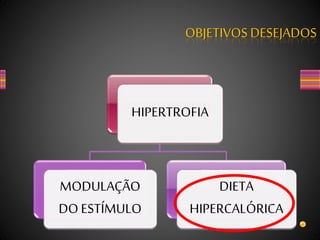 HIPERTROFIA
MODULAÇÃO
DO ESTÍMULO
DIETA
HIPERCALÓRICA
OBJETIVOS DESEJADOS
 