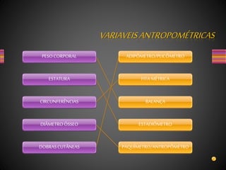 PESOCORPORAL
ESTATURA
CIRCUNFERÊNCIAS
DIÂMETROÓSSEO
DOBRASCUTÂNEAS
ADIPÔMETRO/PLICÔMETRO
FITA MÉTRICA
BALANÇA
ESTADIÔMETRO
PAQUÍMETRO/ANTROPÔMETRO
VARIAVEISANTROPOMÉTRICAS
 