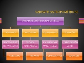 CAUSADORES DE ERROS NAS MEDIDAS
AVALIADO
PROCEDIMENTO
PRÉ AVALIAÇÃO
CUIDADOS
AVALIADOR
TÉCNICA
APROPRIADA
PREPARO
EQUIPAMENTO
CALIBRAGEM E
MANUTENÇÃO
EQUIPAMENTOS
EQUAÇÕES
< ERRO PADRÃO
MÉDIO
EQUAÇÕES
VARIAVEIS ANTROPOMÉTRICAS
 