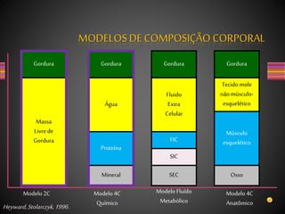 Gordura
Massa
Livrede
Gordura
Gordura
Água
Mineral
Proteína
Gordura
Fluido
Extra
Celular
SEC
FIC
SIC
Gordura
Osso
Tecido mole
nãomúsculo-
esquelético
Músculo
esquelético
Modelo 2C Modelo 4C
Químico
Modelo Fluído
Metabólico
Modelo 4C
AnatômicoHeyward,Stolarczyk,1996.
MODELOSDE COMPOSIÇÃO CORPORAL
 