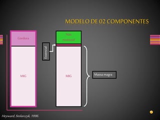 Gordura
MIG
Não
essencial
MIG
Essencial
Massamagra
Heyward,Stolarczyk,1996.
MODELODE 02 COMPONENTES
 