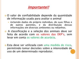 Importante!!
 O valor de confiabilidade depende da quantidade
de informação usada para avaliar o animal
 incluindo dados do próprio indivíduo, de suas filhas e
de outros parentes, e da distribuição dessas
informações em diversos ambientes ou rebanhos.
 A classificação e a seleção dos animais deve ser
feita de acordo com os valores das DEP’s, sem
levar em conta os valores de acurácia.
 Esta deve ser utilizada com uma medida de risco,
permitindo tomar decisões sobre a intensidade de
uso de um determinado reprodutor.
 