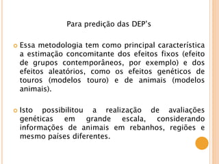 Para predição das DEP’s
 Essa metodologia tem como principal característica
a estimação concomitante dos efeitos fixos (efeito
de grupos contemporâneos, por exemplo) e dos
efeitos aleatórios, como os efeitos genéticos de
touros (modelos touro) e de animais (modelos
animais).
 Isto possibilitou a realização de avaliações
genéticas em grande escala, considerando
informações de animais em rebanhos, regiões e
mesmo países diferentes.
 