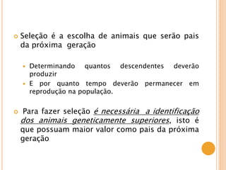  Seleção é a escolha de animais que serão pais
da próxima geração
 Determinando quantos descendentes deverão
produzir
 E por quanto tempo deverão permanecer em
reprodução na população.
 Para fazer seleção é necessária a identificação
dos animais geneticamente superiores, isto é
que possuam maior valor como pais da próxima
geração
 