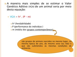  A maneira mais simples de se estimar o Valor
Genético Aditivo (VGA) de um animal seria por meio
desta equação:
 VGA = h² . (P – m)
 h² (herdabilidade)
 P (performance do individuo )
 m (média dos grupos contemporâneos)
são grupos de animais nascidos no mesmo lugar, na
mesma época do ano, do mesmo sexo (ou não) e
que são submetidos às mesmas condições de
ambiente.
 