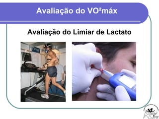 Avaliação do VO²máx
Avaliação do Limiar de Lactato
 
