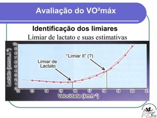Avaliação do VO²máx
Identificação dos limiares
Limiar de lactato e suas estimativas
 
