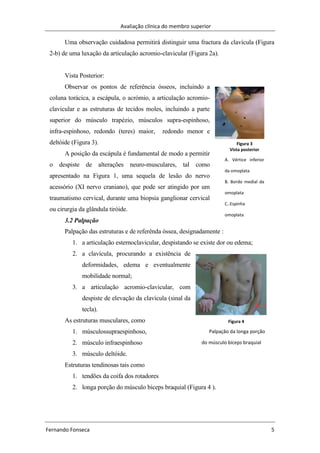 Avaliação clínica do membro superior
Fernando Fonseca 5
Figura 3
Vista posterior
A. Vértice inferior
da omoplata
B. Bordo medial da
omoplata
C..Espinha
omoplata
Figura 4
Palpação da longa porção
do músculo bíceps braquial
Uma observação cuidadosa permitirá distinguir uma fractura da clavícula (Figura
2-b) de uma luxação da articulação acromio-clavicular (Figura 2a).
Vista Posterior:
Observar os pontos de referência ósseos, incluindo a
coluna torácica, a escápula, o acrómio, a articulação acromio-
clavicular e as estruturas de tecidos moles, incluindo a parte
superior do músculo trapézio, músculos supra-espinhoso,
infra-espinhoso, redondo (teres) maior, redondo menor e
deltóide (Figura 3).
A posição da escápula é fundamental de modo a permitir
o despiste de alterações neuro-musculares, tal como
apresentado na Figura 1, uma sequela de lesão do nervo
acessório (XI nervo craniano), que pode ser atingido por um
traumatismo cervical, durante uma biopsia ganglionar cervical
ou cirurgia da glândula tiróide.
3.2 Palpação
Palpação das estruturas e de referênda óssea, designadamente :
1. a articulação esternoclavicular, despistando se existe dor ou edema;
2. a clavícula, procurando a existência de
deformidades, edema e eventualmente
mobilidade normal;
3. a articulação acromio-clavicular, com
despiste de elevação da clavícula (sinal da
tecla).
As estruturas musculares, como
1. músculossupraespinhoso,
2. músculo infraespinhoso
3. músculo deltóide.
Estruturas tendinosas tais como
1. tendões da coifa dos rotadores
2. longa porção do músculo biceps braquial (Figura 4 ).
 