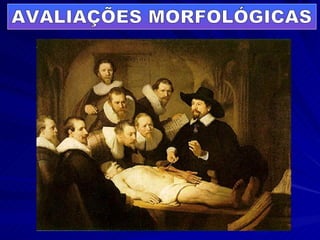 AVALIAÇÕES MORFOLÓGICAS 