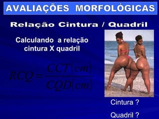 Relação Cintura / Quadril Cintura ? Quadril ? AVALIAÇÕES  MORFOLÓGICAS Calculando  a relação cintura X quadril 
