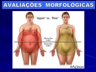 AVALIAÇÕES  MORFOLÓGICAS 