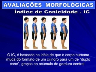 AVALIAÇÕES  MORFOLÓGICAS Índice de Conicidade - IC O IC, é baseado na idéia de que o corpo humana muda do formato de um cilindro para um de “duplo cone”, graças ao acúmulo de gordura central  