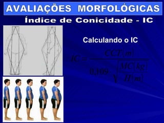 AVALIAÇÕES  MORFOLÓGICAS Índice de Conicidade - IC Calculando o IC 