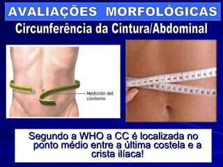 Segundo a WHO a CC é localizada no ponto médio entre a última costela e a crista ilíaca! AVALIAÇÕES  MORFOLÓGICAS Circunferência da Cintura/Abdominal 
