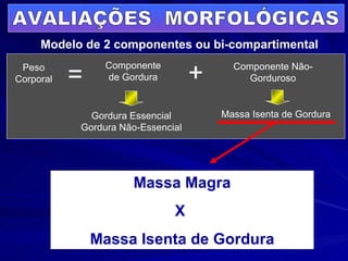AVALIAÇÕES  MORFOLÓGICAS Modelo de 2 componentes ou bi-compartimental Peso Corporal Componente de Gordura Componente Não- Gorduroso = + Gordura Essencial Gordura Não-Essencial Massa Isenta de Gordura Massa Magra X  Massa Isenta de Gordura 