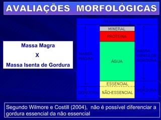 AVALIAÇÕES  MORFOLÓGICAS Segundo Wilmore e Costill (2004),  não é possível diferenciar a gordura essencial da não essencial Massa Magra X  Massa Isenta de Gordura 