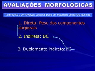 1. Direta: Peso dos componentes corporais 2. Indireta: DC 3. Duplamente indireta:DC Atualmente a composição corporal pode ser estudada utilizando técnicas: AVALIAÇÕES  MORFOLÓGICAS 