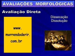 Dissecação   Dissolução Avaliação Direta AVALIAÇÕES  MORFOLÓGICAS 