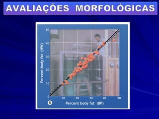 AVALIAÇÕES  MORFOLÓGICAS 