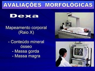 Mapeamento corporal (Raio X) - Conteúdo mineral ósseo - Massa gorda  - Massa magra Dexa AVALIAÇÕES  MORFOLÓGICAS 