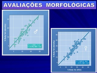AVALIAÇÕES  MORFOLÓGICAS 